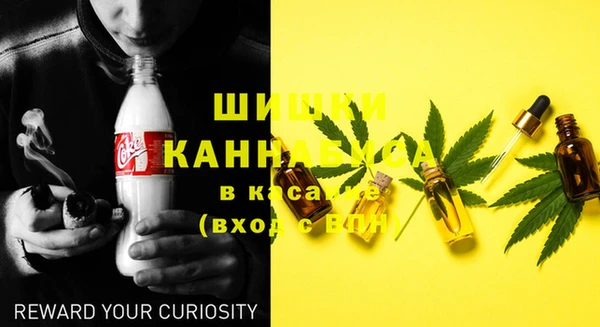 ешки Бородино