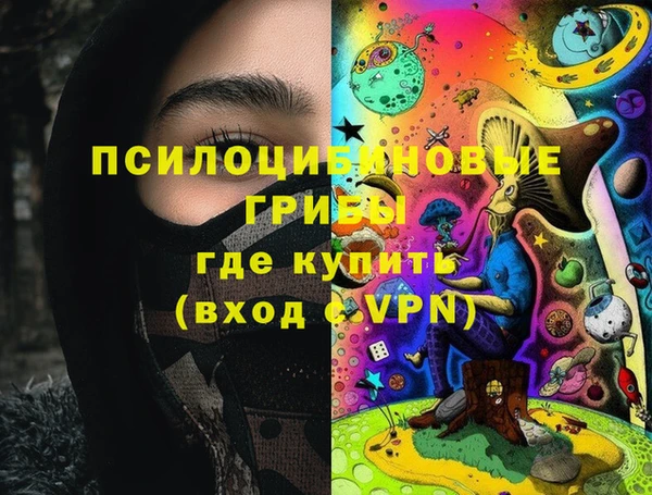 Альфа ПВП Бронницы