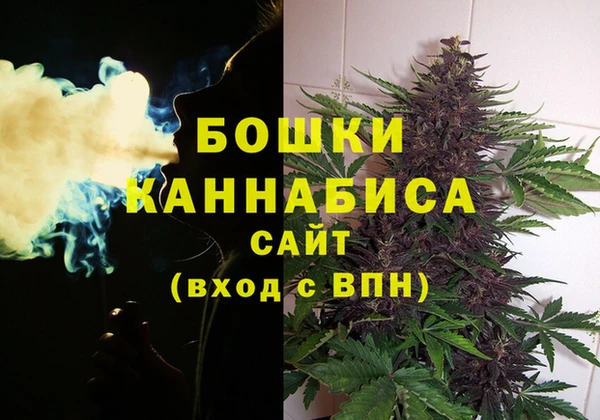ешки Бородино