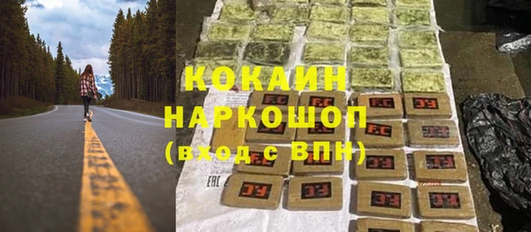 ешки Бородино