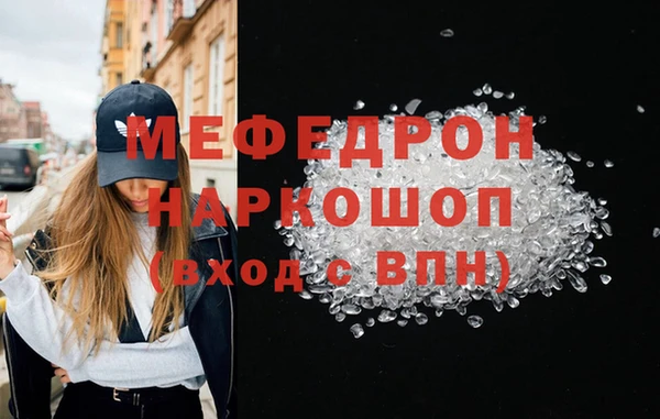 ешки Бородино