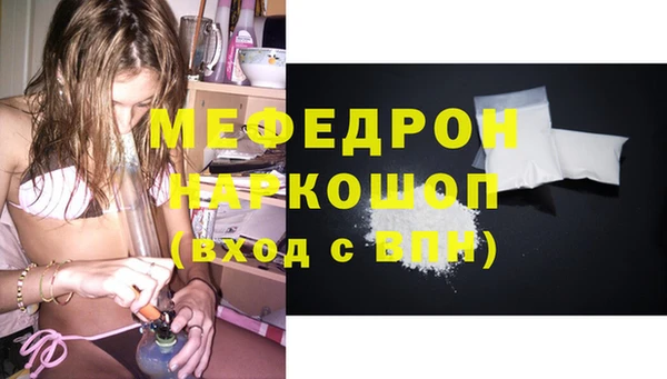 ешки Бородино