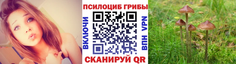 купить Электроугли ссылка на мегу Псилоцибиновые грибы Cubensis